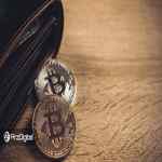 کیف پول‌هایی که کمتر از ۱ بیت کوین دارند فقط ۵ درصد بازار بیت کوین را تشکیل می‌دهند