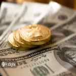 بیت کوین با متوسط بازدهی ۲۰۰ درصدی سالانه در حال بلعیدن جهان است