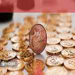 دوج کوین بیت کوین بعدی نیست، اما مشترکاتی وجود دارد