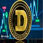 دوج کوین هنوز در کوین بیس وجود ندارد؛ سود زیادی که این صرافی آمریکایی از دست داد