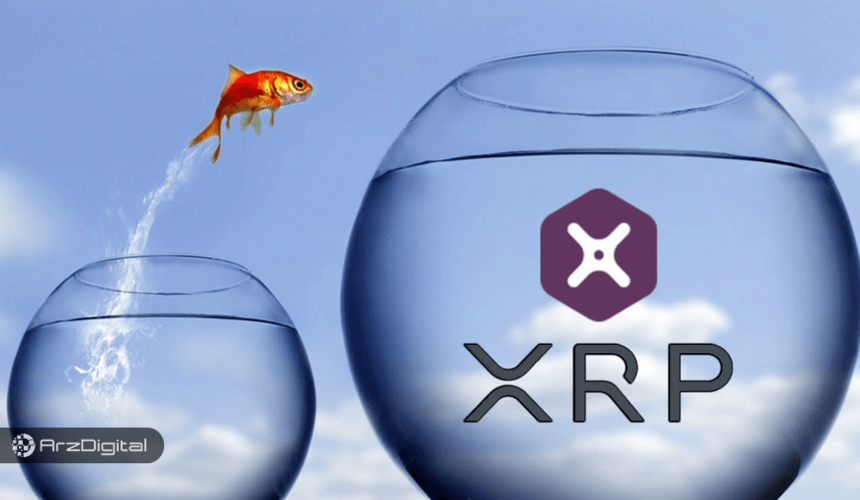 ریپل به دنبال توسعه هر چه بیشتر xRapid