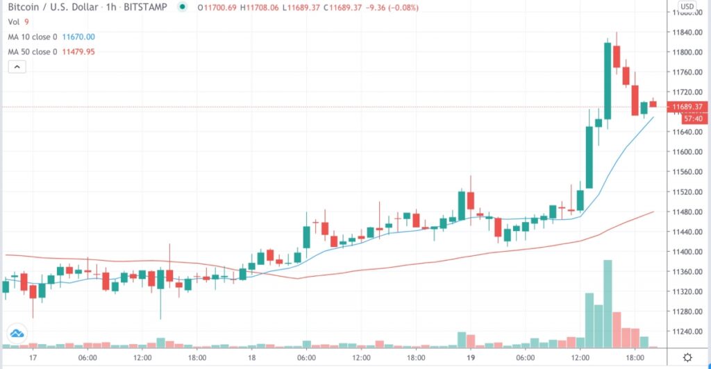 نمودار قیمت بیت کوین