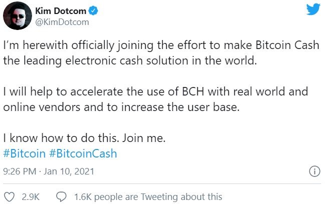 کیم داتکام اعلام کرد حامی بیت کوین کش است