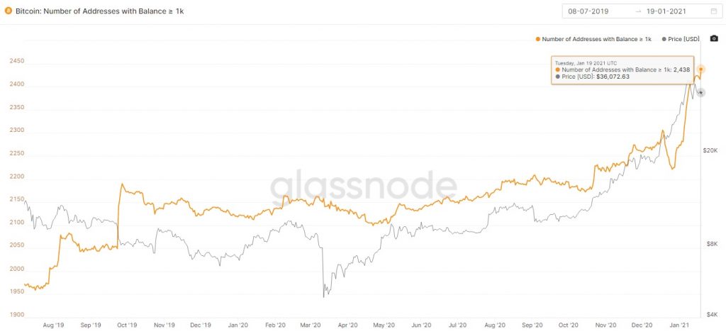 شمار نهنگ‌های بیت کوین به بالاترین میزان تاریخ خود رسید