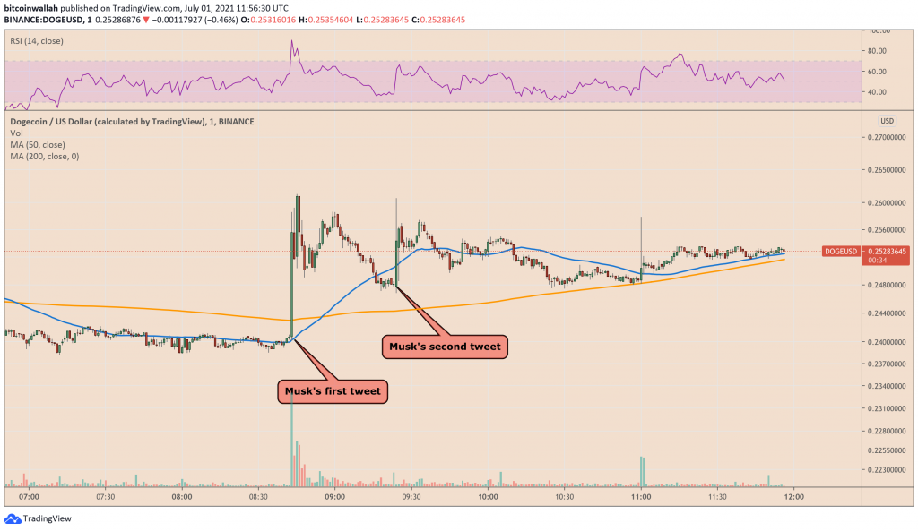 نمودار قیمت دوج کوین