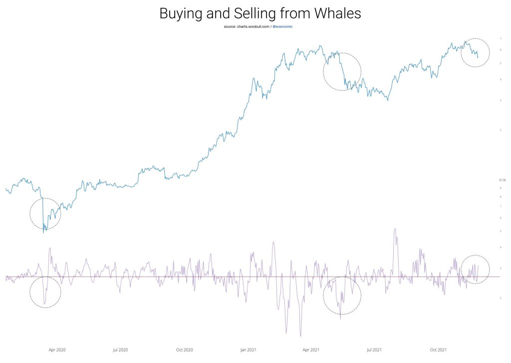 وضعیت بازار: نهنگ‌های بیت کوین مشغول خرید در کف ۵۳ هزار دلاری هستند