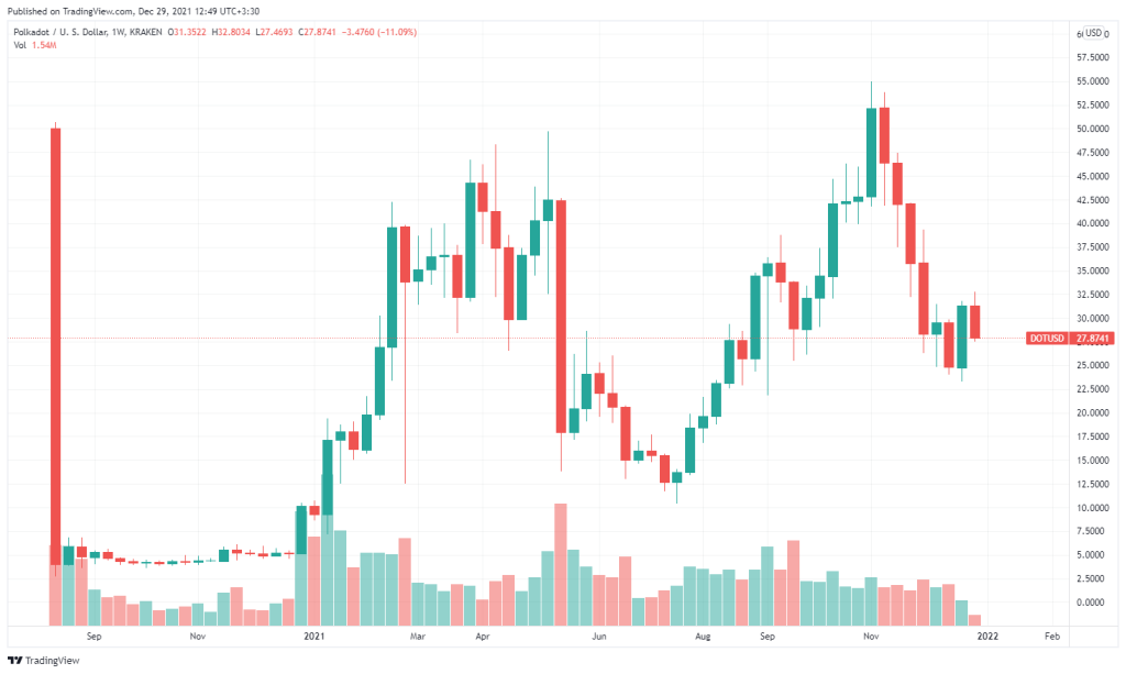 سال جدید برای سرمایه‌گذاران پولکادات چگونه خواهد بود؟ تحلیل‌گر مطرح پاسخ می‌دهد
