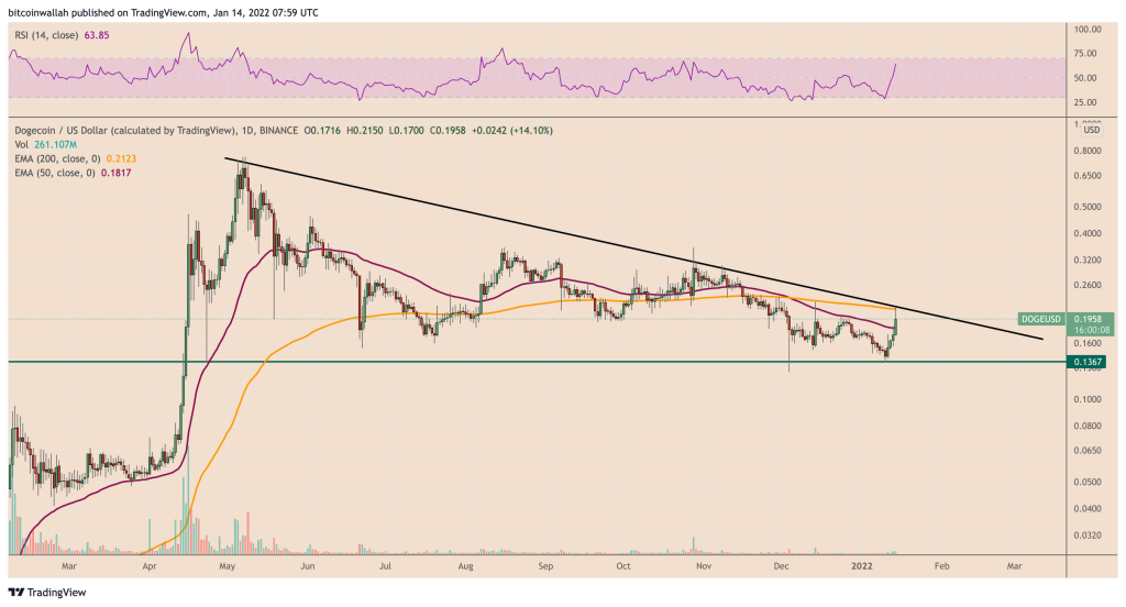 رشد ۲۵ درصدی دوج کوین پس از توییت ایلان ماسک؛ حرکت بعدی قیمت چیست؟
