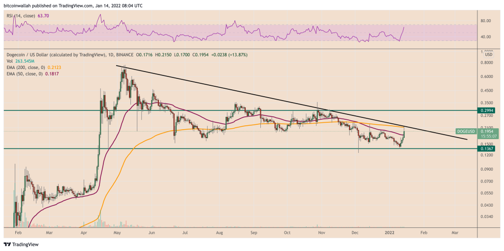 رشد ۲۵ درصدی دوج کوین پس از توییت ایلان ماسک؛ حرکت بعدی قیمت چیست؟