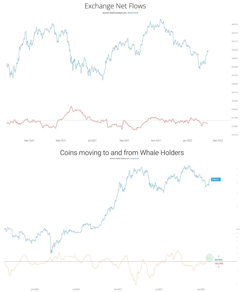 مقایسه ورود و خروج پول در صرافی‌ها با انباشت نهنگ‌ها