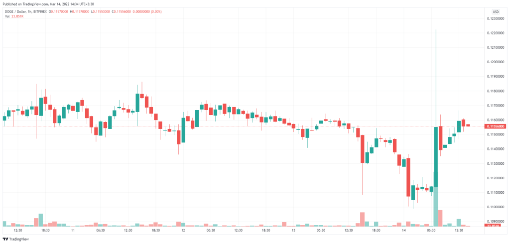 جهش ناگهانی دوج کوین پس از توییت ایلان ماسک؛ ارزهای دیجیتالم را نمی‌فروشم!