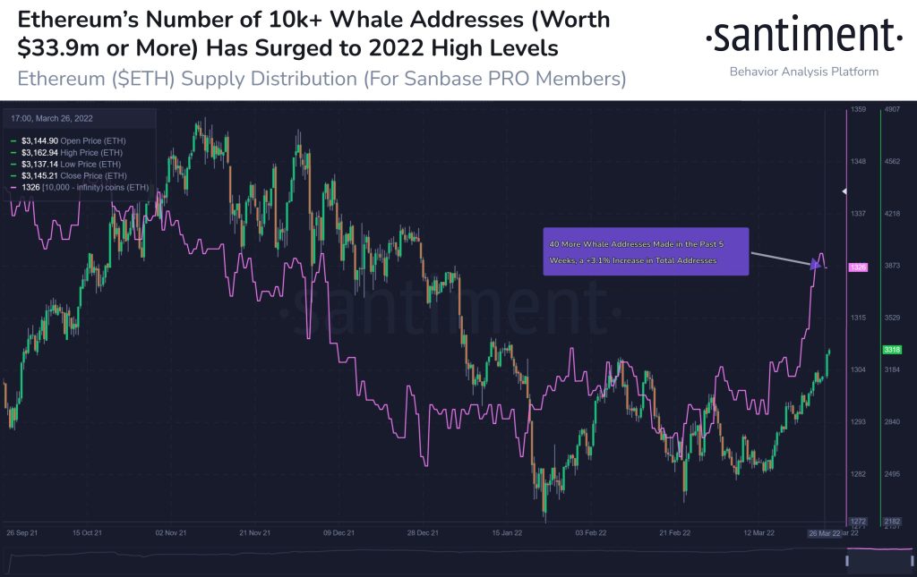 داده‌های درون‌زنجیره‌ای: بیت کوین می‌تواند تا ۵۰هزار دلار رشد کند