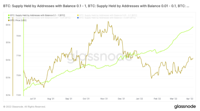 احساس فومو میان سرمایه‌گذاران بیت کوین به بالاترین سطح از سال ۲۰۱۷ رسیده است