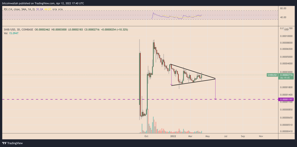 جهش ۳۵ درصدی شیبا اینو در عرض یک روز؛ حرکت بعدی چیست؟