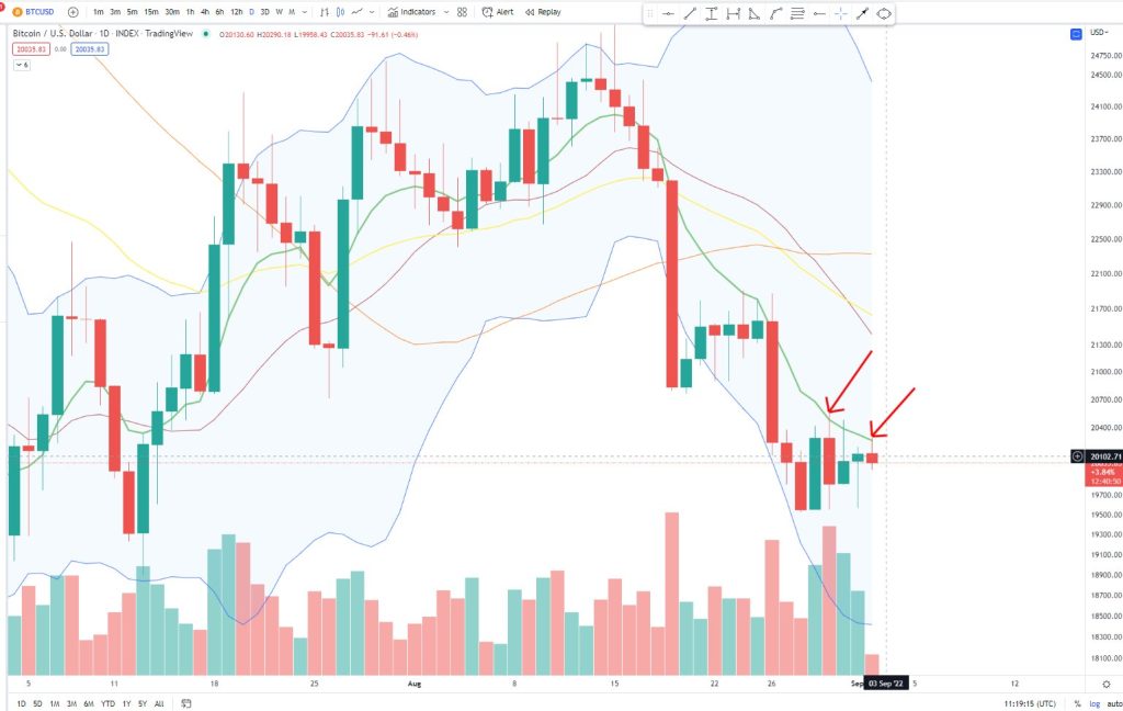 سقوط تسلط بیت کوین به پایین‌ترین سطح ۴ سال گذشته؛ باید منتظر چه چیزهایی باشیم؟