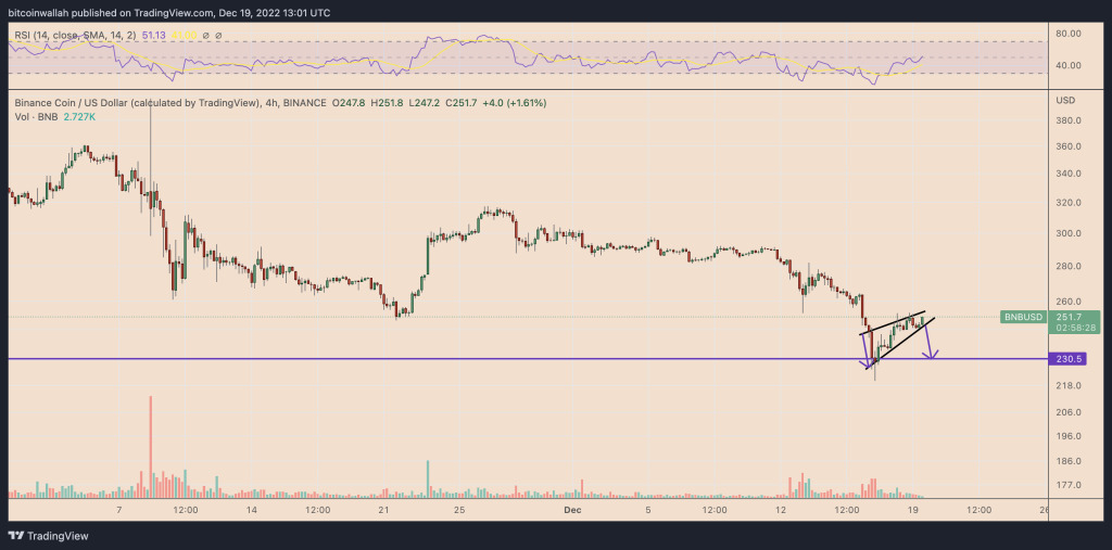 ۳ دلیل برای سقوط بایننس کوین در سال ۲۰۲۳